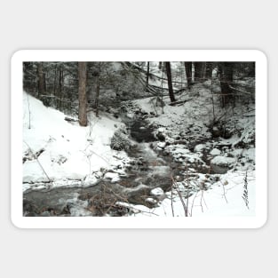 Winter Stream Sticker